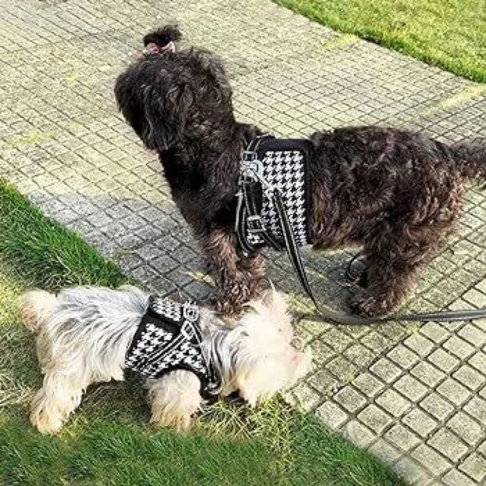 Dog Harness For Small Dogs (Black Plaid+Leash, Large)